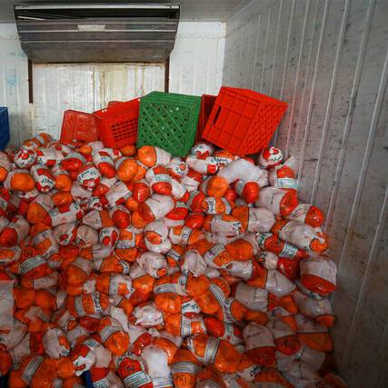 رفع ممنوعیت صادرات مرغ به عراق