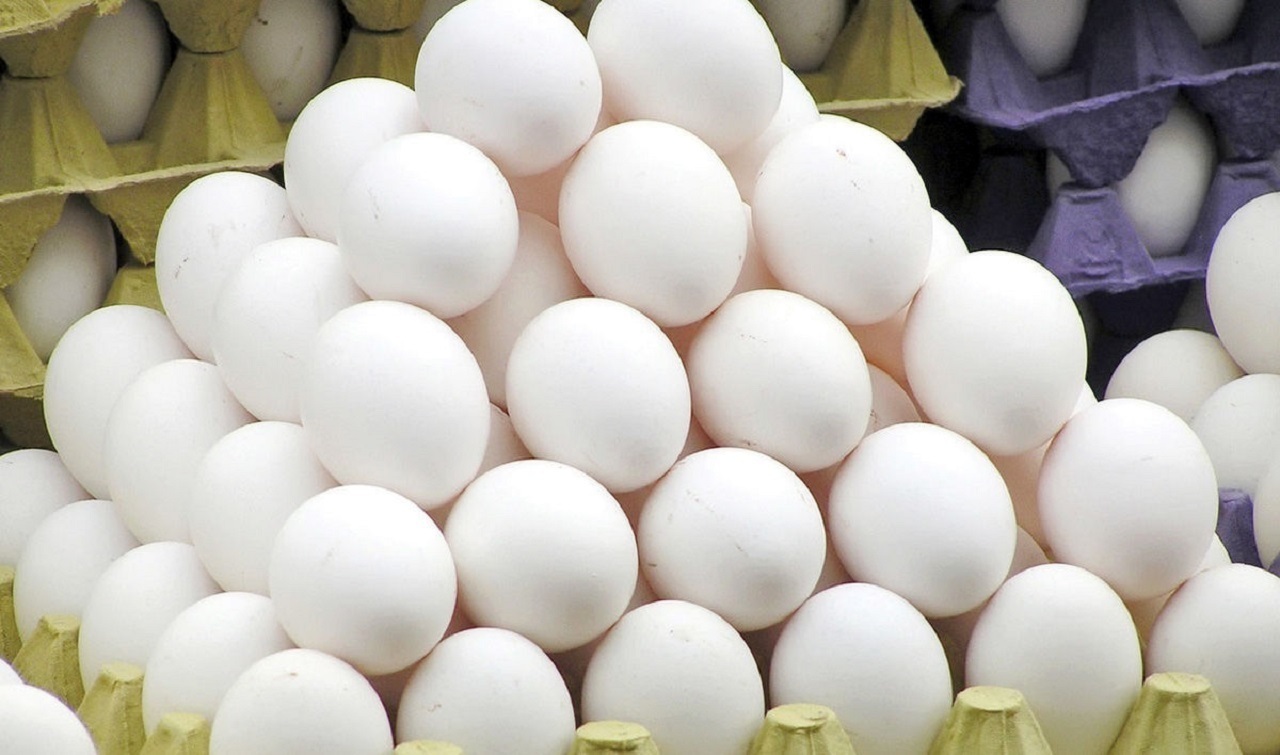 عرضه تخم‌مرغ همچنان کمتر از نرخ مصوب