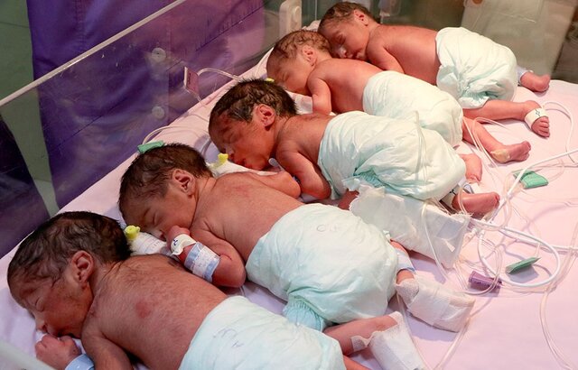 تولد ۵ قلوها در شیراز/وضعیت عمومی نوزادان مطلوب است
