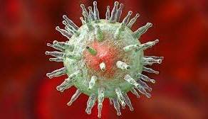 یک ویروس معمولی عامل ابتلا به بیماری ام اس