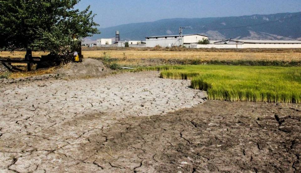 خشکسالی بسیار شدید دامن‌گیر گلستان؛ کاهش 89 درصد بارندگی تیر ماه