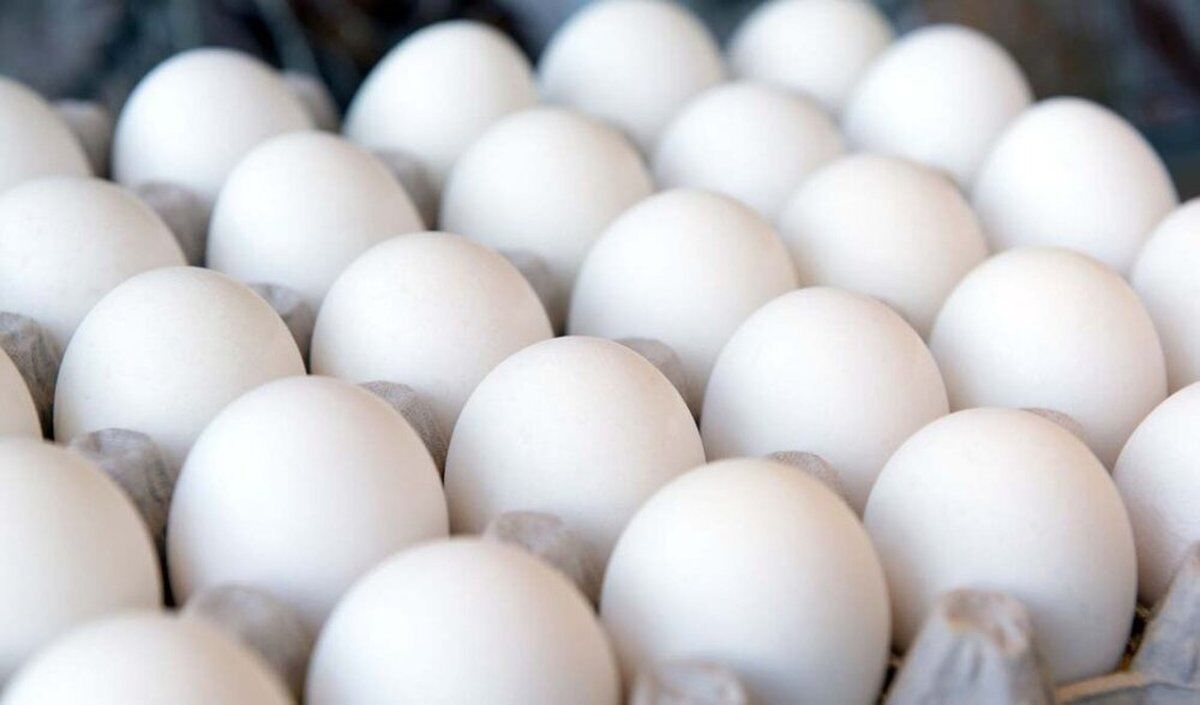 کاهش ۸ هزار تومانی قیمت تخم‌مرغ