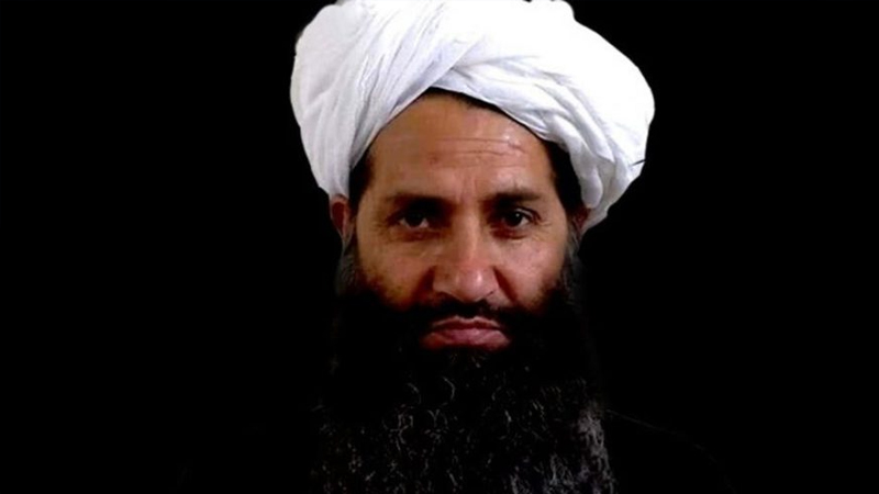سرکرده طالبان زنده است؟