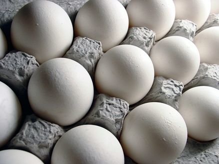 مقام صنفی: فروش تخم مرغ بالای ۹۰ هزار تومان تخلف است