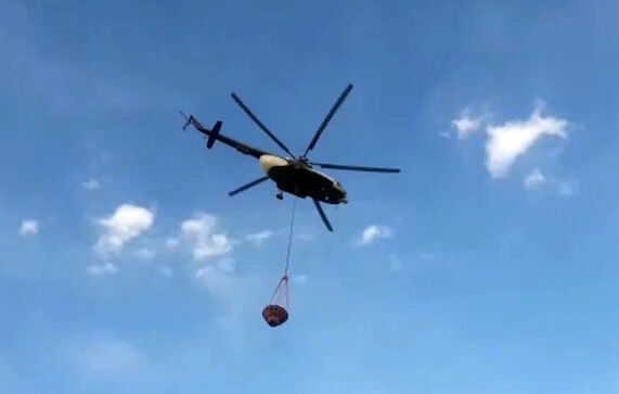آتش در جنگل‌ کیاسر مهار شد / اطفاء کامل توسط بالگرد در حال انجام است