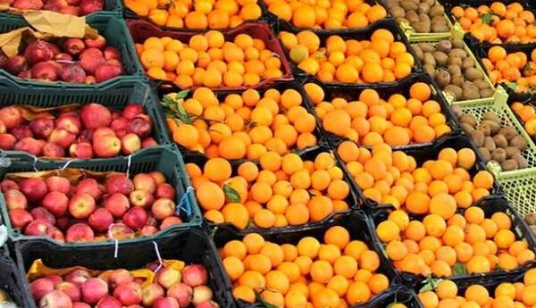 نایب رئیس کمیسیون کشاورزی: ابهامات درباره خرید میوه شب عید همچنان باقی است