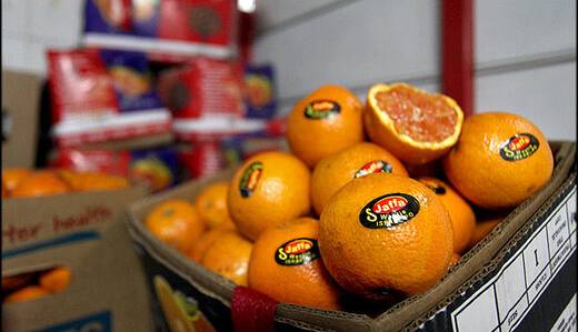 ماجرای قاچاق میوه‌های اسرائیلی به ایران چیست؟