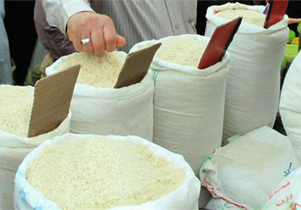 برنج در یک ماه ۵۵ درصد گران شد