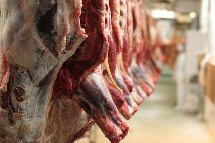 قیمت جدید گوشت اعلام شد | خبر جدید درباره تأمین گوشت ماه رمضان