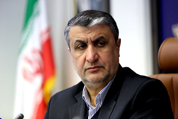 دیدارهای دوجانبه رییس سازمان انرژی اتمی ایران در وین