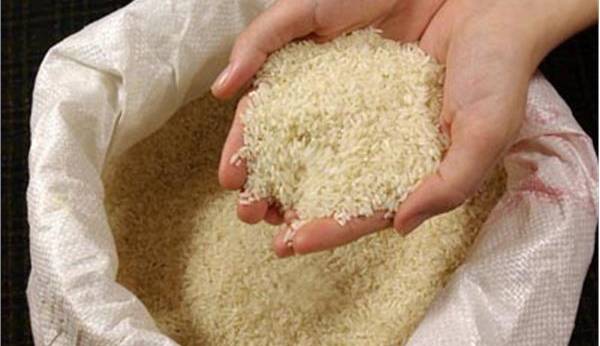 آغاز عرضه برنج تنظیم بازار در فروشگاه زنجیره‌ای از فردا