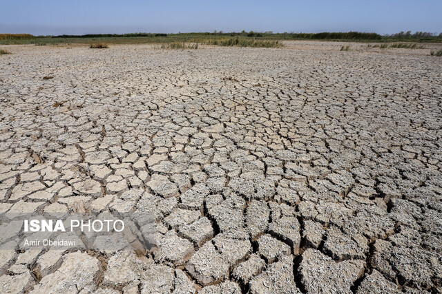 خشک شدن ۴ درصد "هورالعظیم" در ۵ روز گذشته / مرگ و میر نگران‌کننده آبزیان