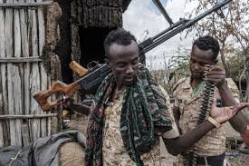 جبهه تیگرای کنترل دومین شهر مهم اتیوپی را به دست گرفت