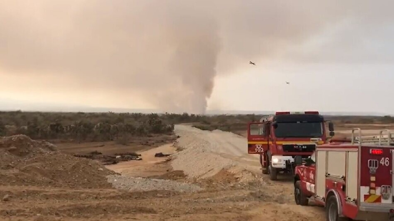آتش سوزی گسترده در مرز اردن و فلسطین اشغالی